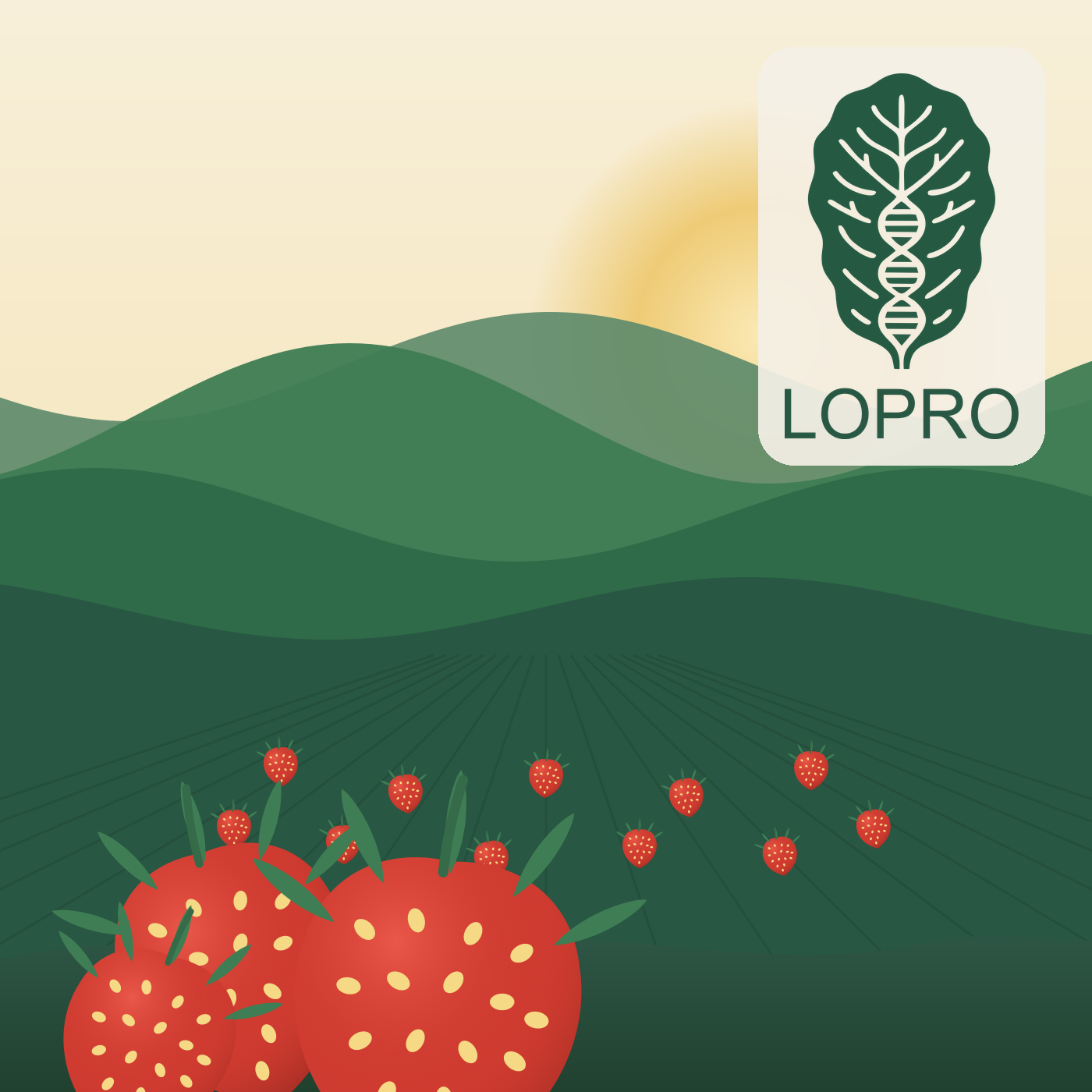 U-Pick Strawberries